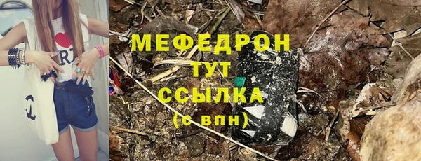 шишки Белоозёрский