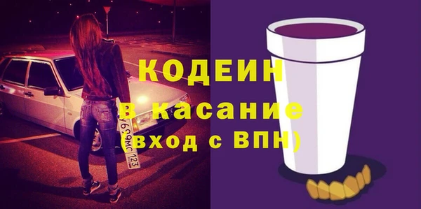 дживик Белокуриха