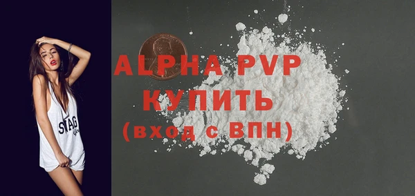 дживик Белокуриха