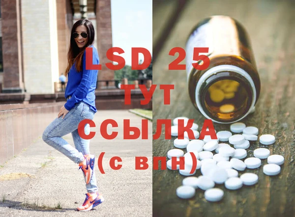 шишки Белоозёрский
