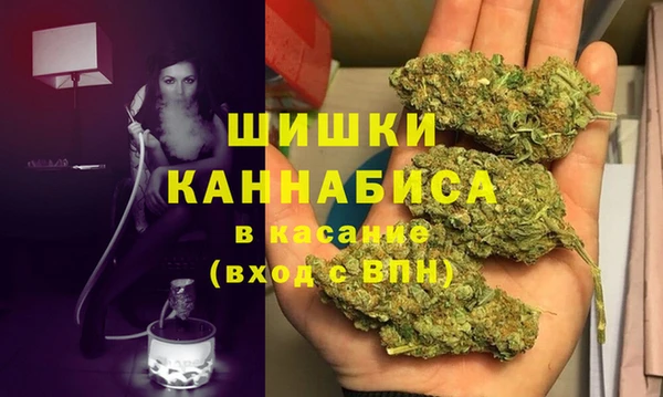 дживик Белокуриха