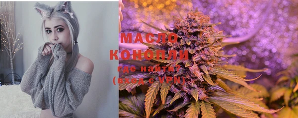 шишки Белоозёрский