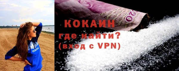 шишки Белоозёрский