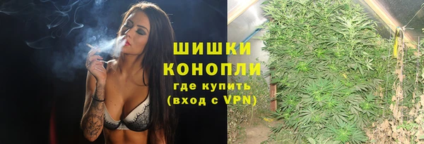 шишки Белоозёрский