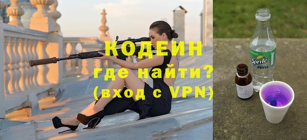 шишки Белоозёрский
