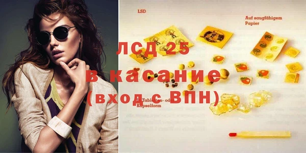 шишки Белоозёрский