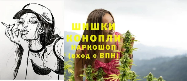 дживик Белокуриха